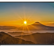 Monitor Profesional LED K49DLM8U